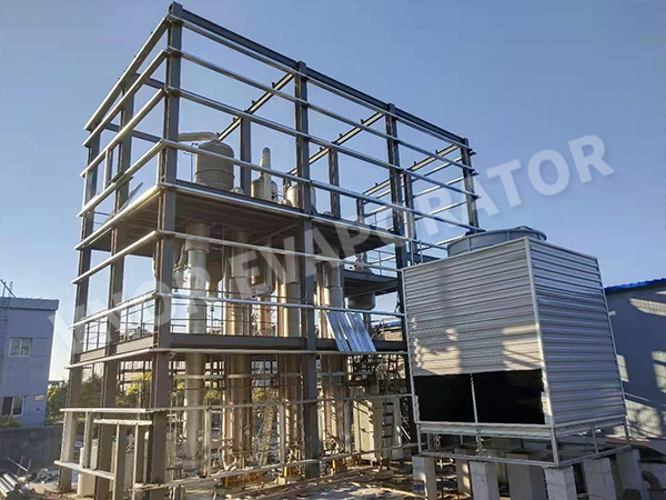 Dalian'da Kesin Güç Kuruluşu