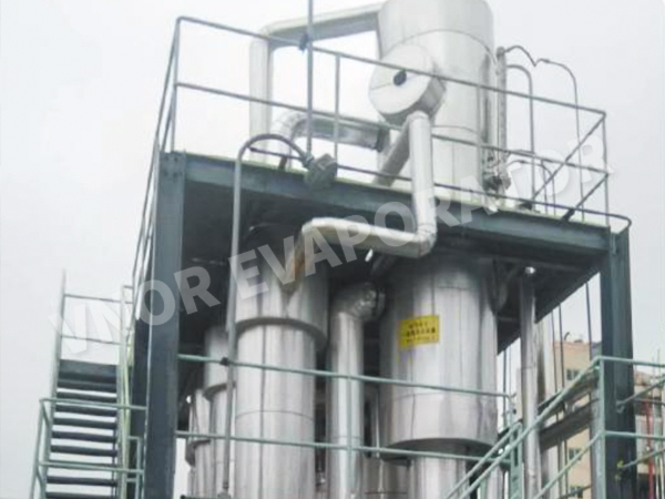 Chengdu'da Bir Çevre Koruma Kuruluşu